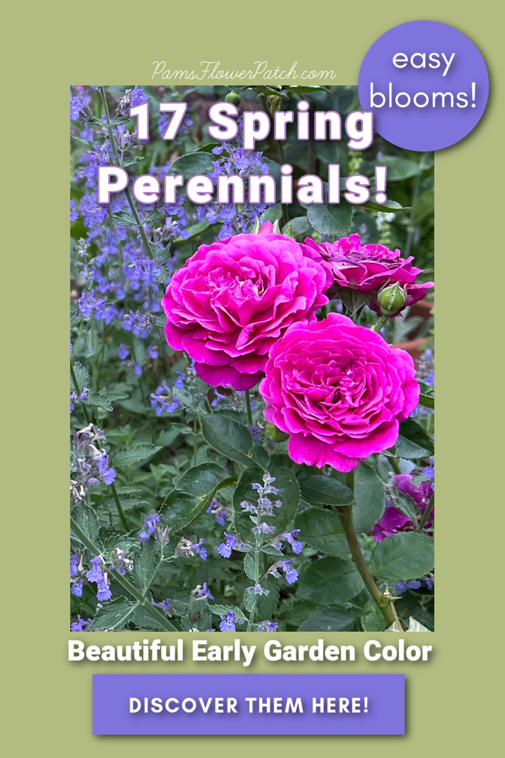 17 Straightforward Spring Perennials for Early Shade - Batang Tabon